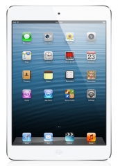 .iPad mini
